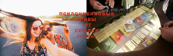 хмурый Мегион