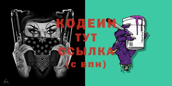 хмурый Мегион