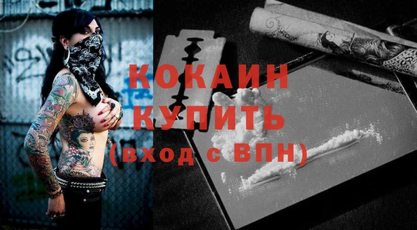 СК Медвежьегорск