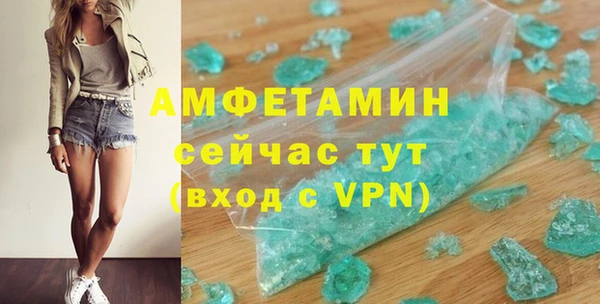 МДПВ Бородино