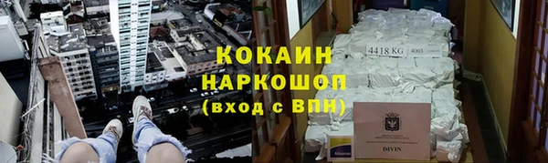 прущие грибы Протвино